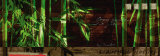 Bamboo Lounge