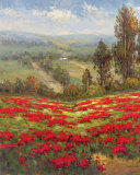 Poppy Vista II