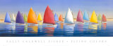 Flying Colors Art Print