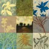 Buy Limousin II at AllPosters.com