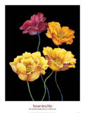 Buy Midnight Bloom I at AllPosters.com