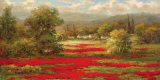 Buy Poppy Village at AllPosters.com