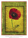 Buy Poppy at AllPosters.com