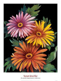 Buy Midnight Bloom III at AllPosters.com