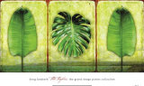 Buy The Tropics at AllPosters.com