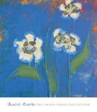 Buy Orchid Study II at AllPosters.com
