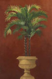 Potted Palm Red IV