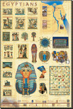 The Egyptians