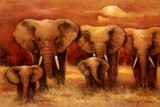 Bull Elephants