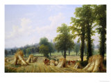 View of Harvesting near Warwick