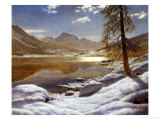 Buy Moonlit Lake at AllPosters.com
