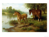 Buy Mare and Her Foal at AllPosters.com