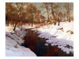 Buy November Evening, c.1923 at AllPosters.com