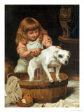Buy The Order of the Bath at AllPosters.com