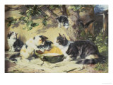 Buy Happy Family at AllPosters.com