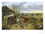 Buy At the Duck Pond at AllPosters.com