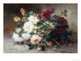 Still Life of Roses