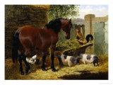 Buy Friendly Farmyard at AllPosters.com