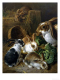 Buy Feeding Time at AllPosters.com