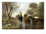 Buy Homeward Bound at AllPosters.com