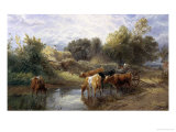 Buy Watering Time at AllPosters.com