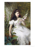 Foxgloves