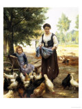 Feeding the Chickens