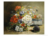 Still Life of Cornflowers, Poppies and Violets