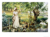 Reverie by the River