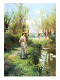 Spring Morning
