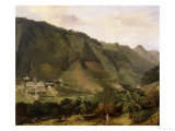 Buy Landscape on Martinique at AllPosters.com