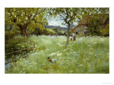 In the Orchard