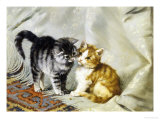 Buy The Introduction: Silver and Ginger Kittens at AllPosters.com