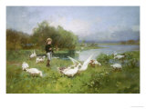 Tending the Geese