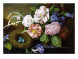Still Life of Camelias