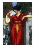 Buy The Engagement at AllPosters.com