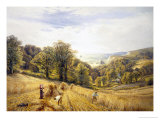 Golden Harvest on the South Coast