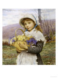 Buy Spring Flowers at AllPosters.com