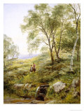 Buy Springtime in Wales at AllPosters.com