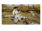 Buy Feeding the Ducks at AllPosters.com