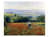 In the Poppy Field