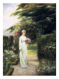 In the Rose Garden