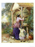 Buy The Bird Cage at AllPosters.com