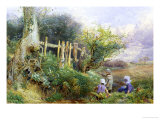 Buy Gathering Primroses at AllPosters.com