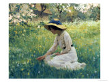 Buy Spring Flowers at AllPosters.com