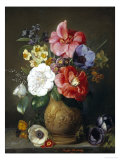 Still Life of Camellias and Anemone