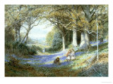 Buy Wild Hyacinths at AllPosters.com