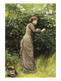Buy The Bird's Nest at AllPosters.com