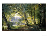 Forest Glade