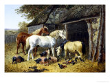 Buy Farmyard Friends at AllPosters.com